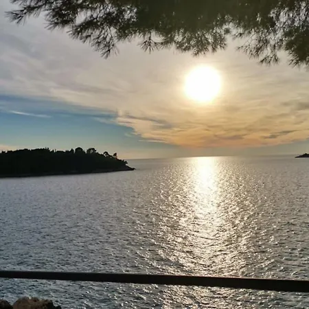 아파트 Flora By Guide 풀라