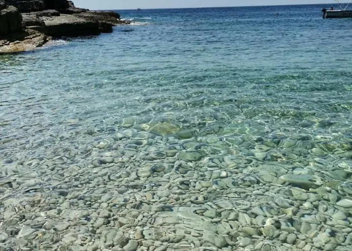 Apartment Flora By Guide